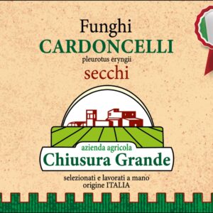 FUNGHI CARDONCELLO ESSICCATI- PLEUROTUS ERYNGII - CONF. DA 40 GR.